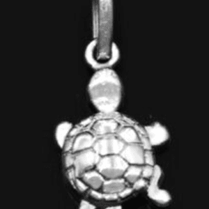 Silver Turtle Pendant Ca Pf 147 1