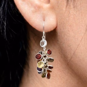 Gem Studded Silver Earring D El 63 1