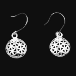 Silver Hanging Earring Ca El 150 1