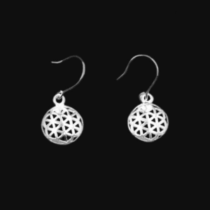 Silver Hanging Earring Ca El 150