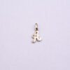 Silver English Letter Small Pendant Pf 02