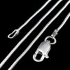 Silver Chain Zg Cl 6c