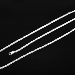Silver Chain Z Cl 10g